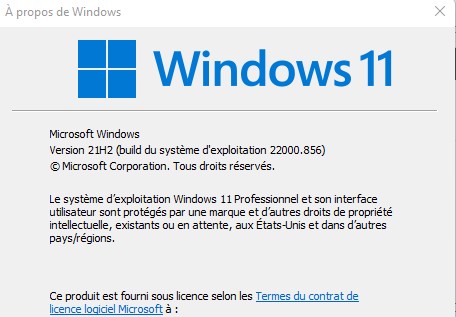 Winver sur Windows 11