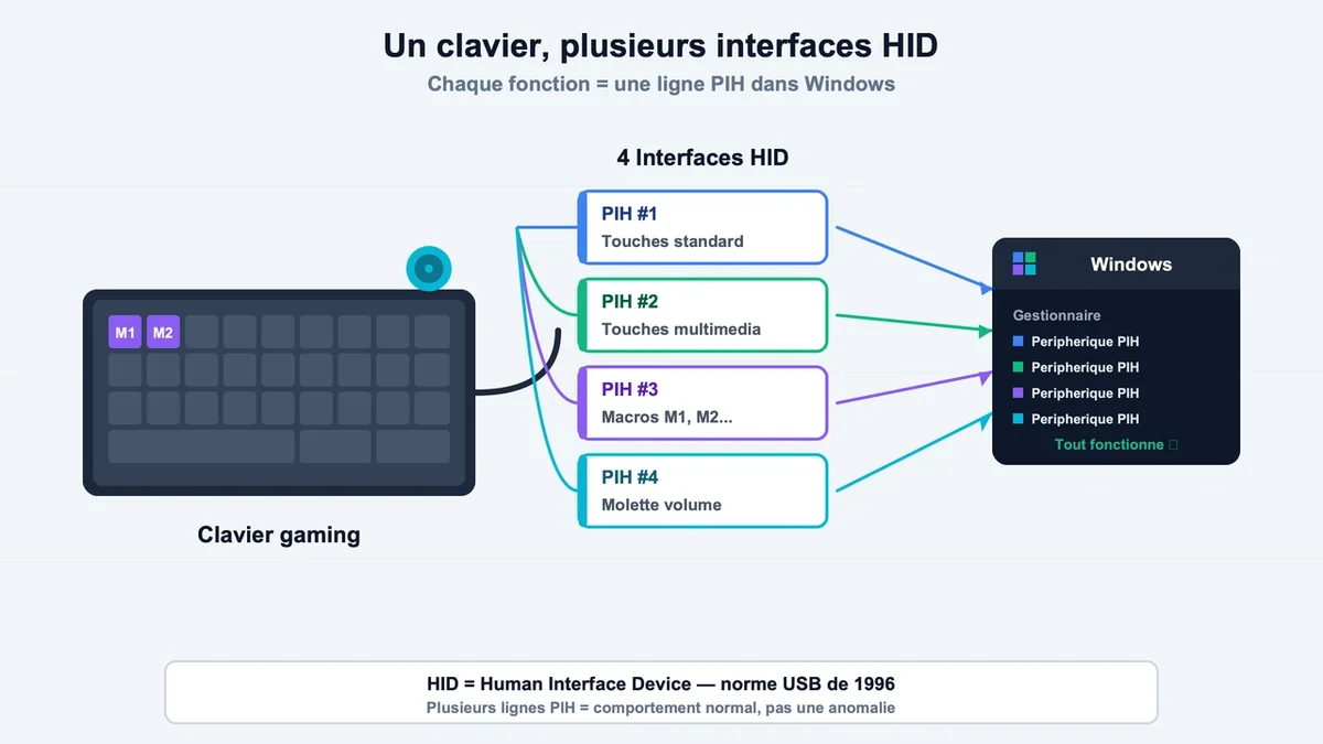 Schéma des interfaces HID sur un clavier gaming avec flèches illustrant la communication avec Windows