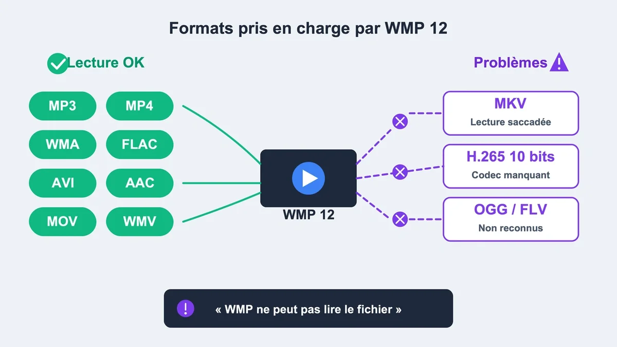 Illustration vectorielle montrant les formats audio et vidéo supportés par Windows Media Player 12 et les problèmes a...